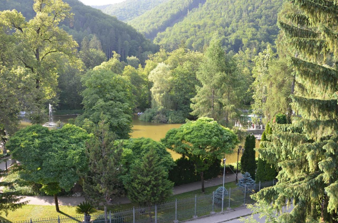 Floravilla Rajecke Teplice Exterior photo